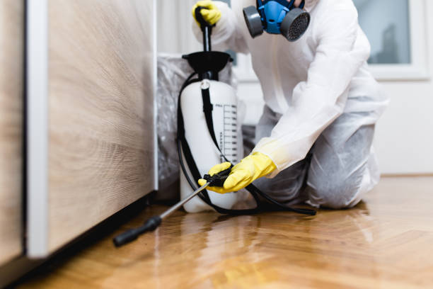 Mount Jackson, VA Pest Control Company