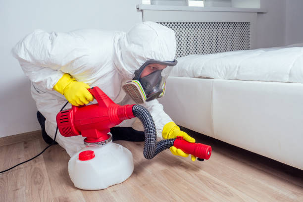 Best Pest Control Near Me  in Mount Jackson, VA