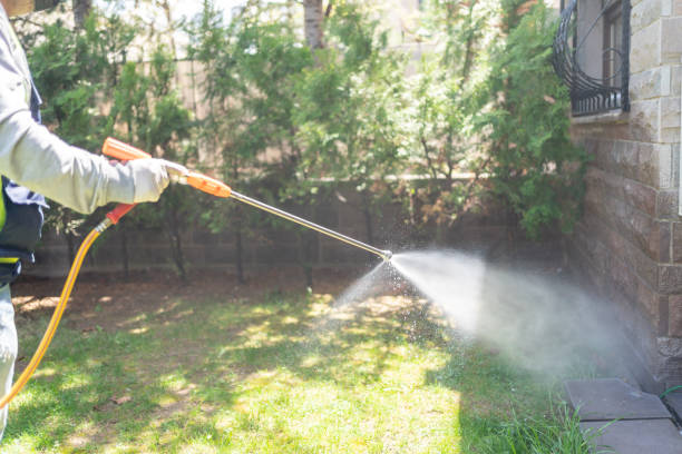 Best Bed Bug Extermination  in Mount Jackson, VA